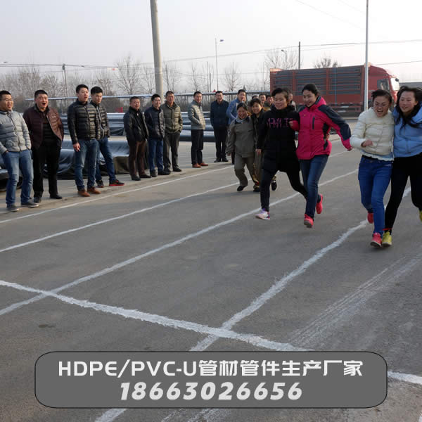 元旦雙人跑步競賽活動